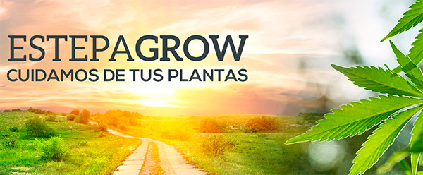 Estepa Grow